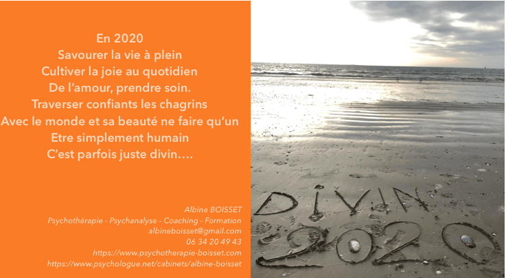 Lire la suite à propos de l’article BONNE ANNÉE 2020